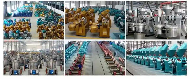 High Oil Yield 11tpd Screw Press Sunflower Cotton Sopybean Oil Press on Sale