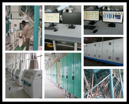 60t-80t Flour Mill, Mill for Making Wheat Flour for Sale