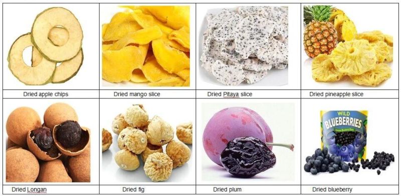 Hot Air Circulating Oven Hot Air Fruit and Vegetables Dryer Machine