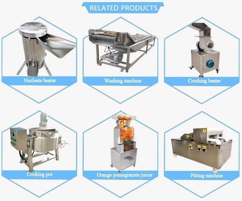 1.5t Cucumber Parsley Juice Peach Cherry Juicer Squeezer Squeezing Machine