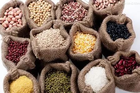 Cocoa Grinding Machine Coffee Bean Grinding Machine Spice Grinder
