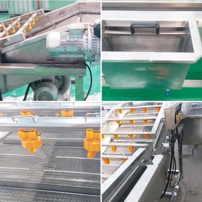 Industrial Ozone Vegetable and Fruit Washing Machine 