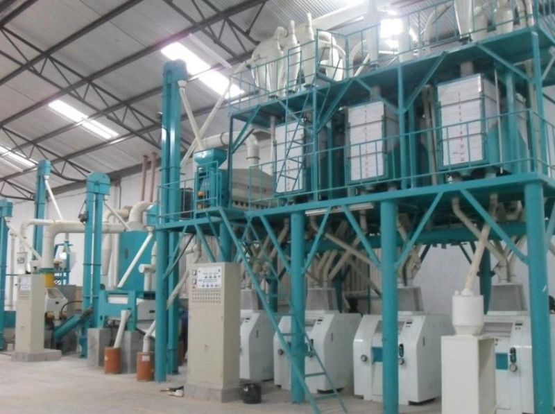 Automatic European Standard Flour Plant
