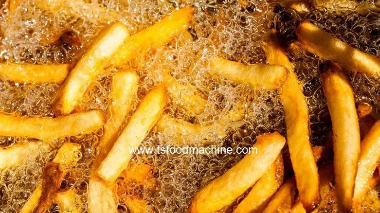 French Fries Frying Machine Deep Fryer Using Gas Automatic Basket Lift