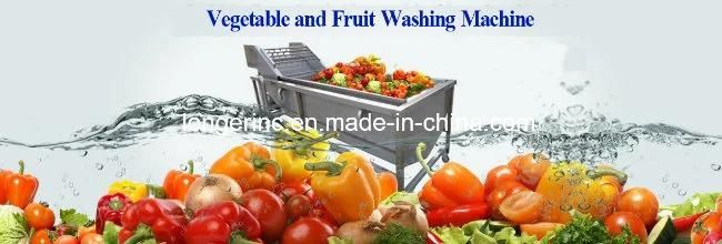 Sophisticated Technology Vegetable Cleaning Machine on Sale