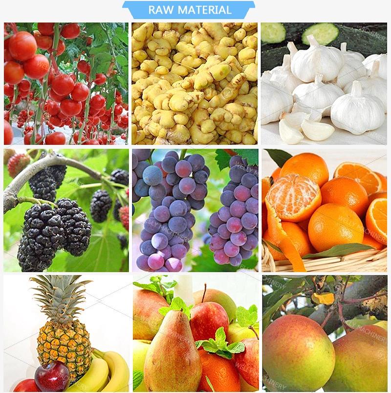 Cold Press Juice Extractor Machine Used for Orange Sugarcane Lemon Apple Fruit Juice