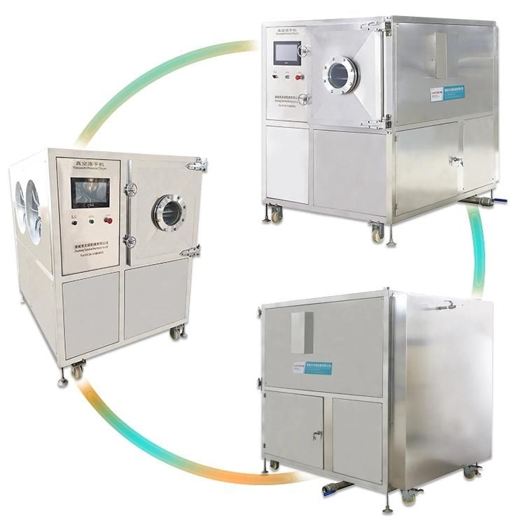 High Quality Freeze Dryer Fruits Machinedry Strawberry Vacuum Lyophilizer