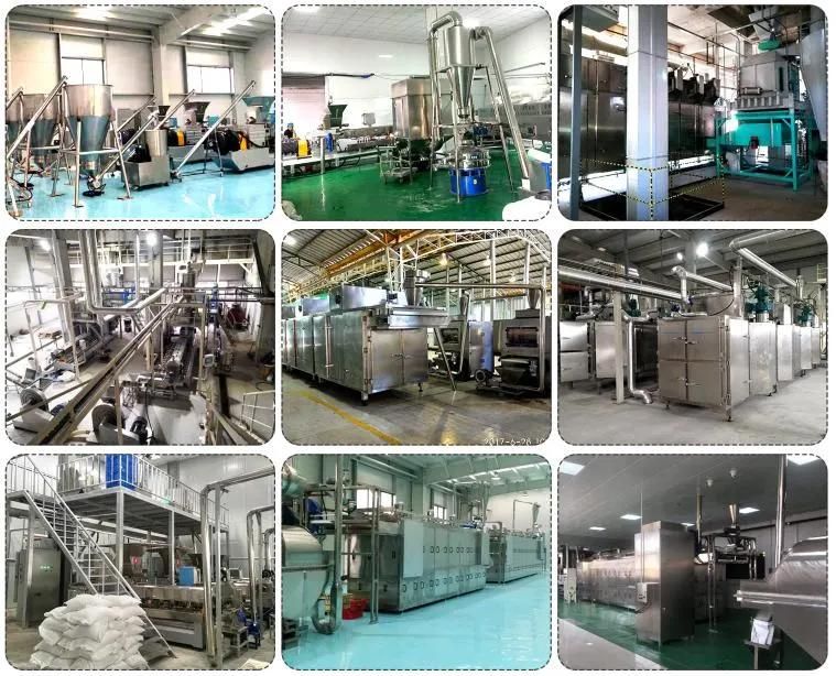 Healthy Dog Food Making Machine High Capacity Cat Fish Food Production Line