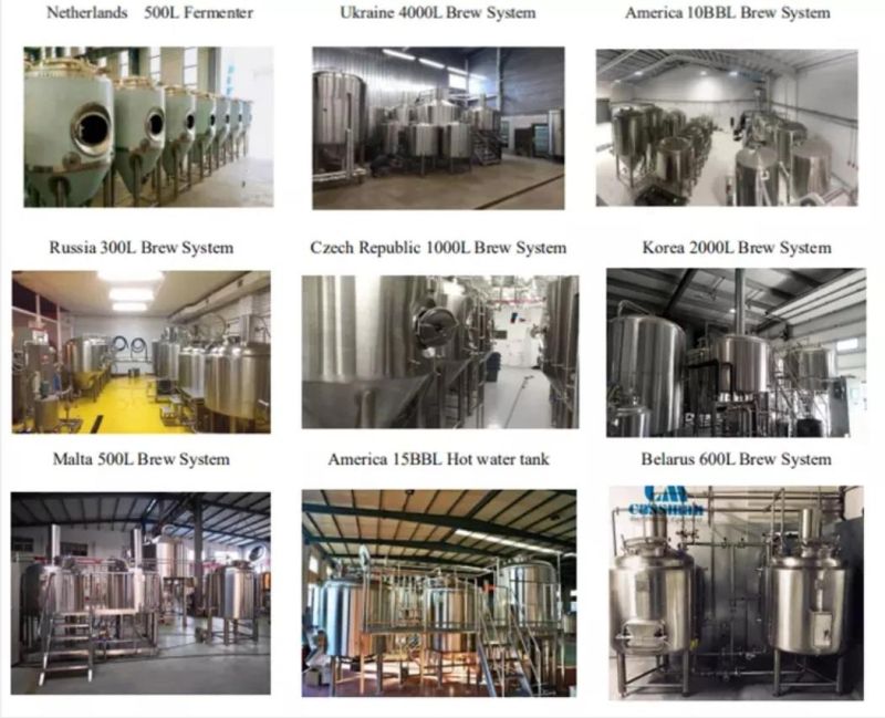 Cassman 500L Micro Stainless Steel Beer Brewhouse with European CE Certification