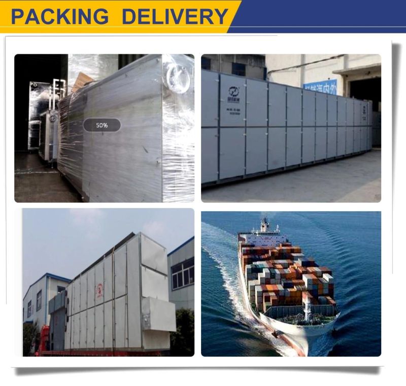 Top Sell Potato Chips Indudstrial French Fries Machine Machine Processing Line to Factory
