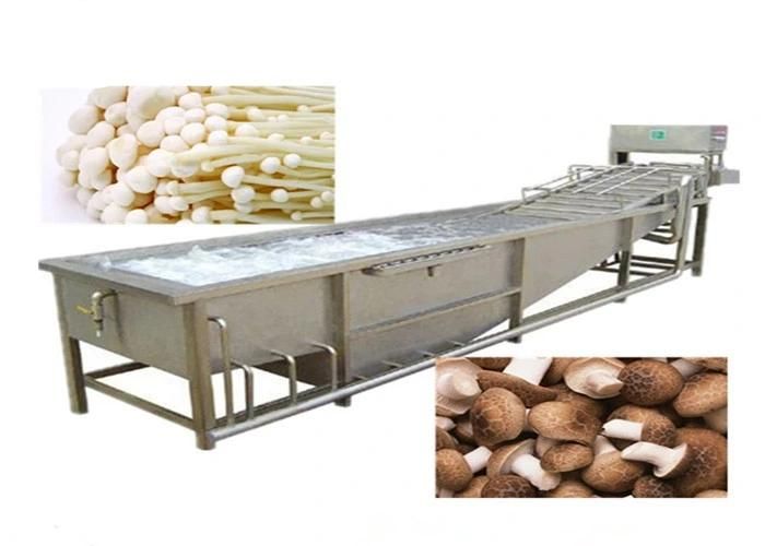 Commercial Vegetable Fruit Air Bubble Washing Machine
