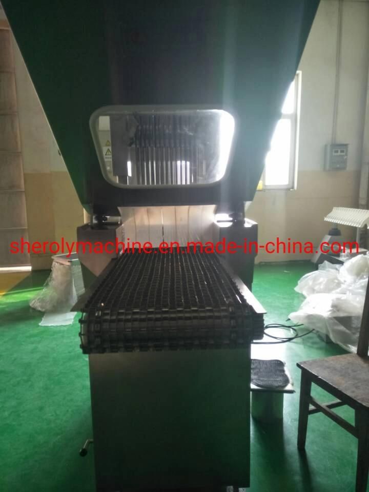 Stainless Steel Saline Water Brine Injection Machine for Beef
