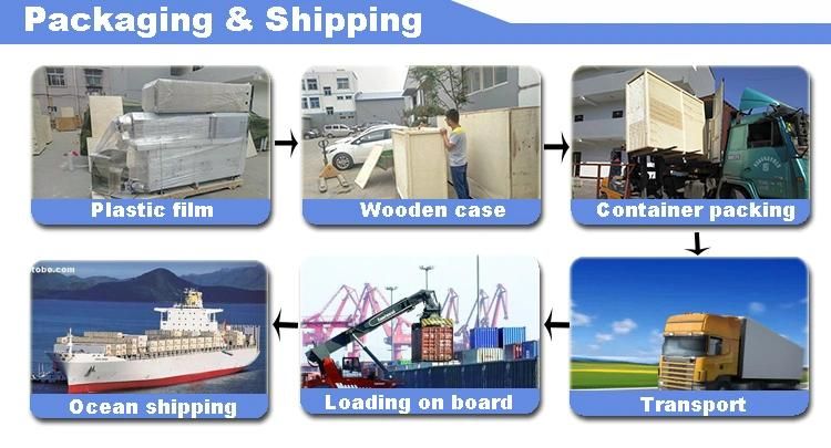 Fully Automatic Industrial Pet Food Machinery
