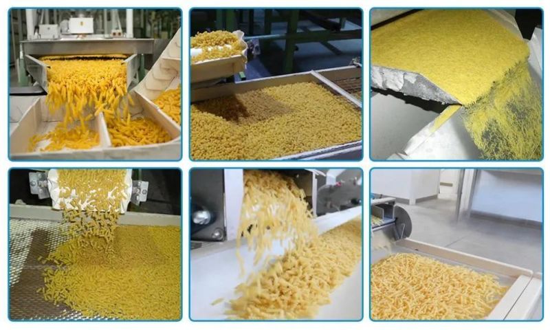 Professional Macaroni Pasta Making Machine with Cheap Factory Price Pasta Machine