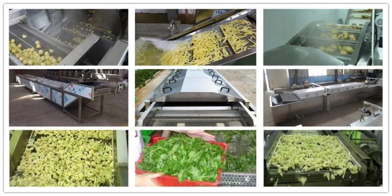 Seafood Scallop Continuous Blanching Machine