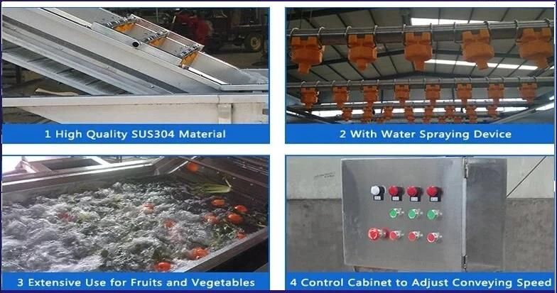 High Output 800kg/H Fruit Vegetable Washing Cleaning Machinery
