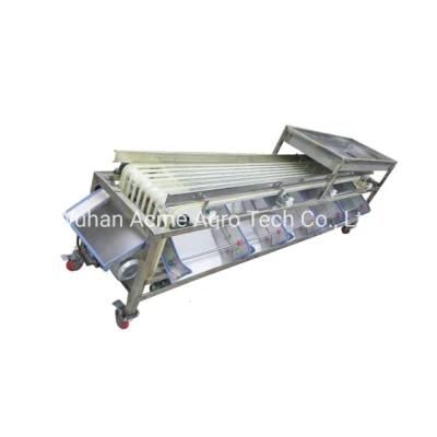 Automatic Dates Sorting Machine