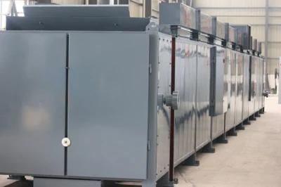 Economic and Practical Raisin Production Line Plant Dried Grapes Processing Line for Sale