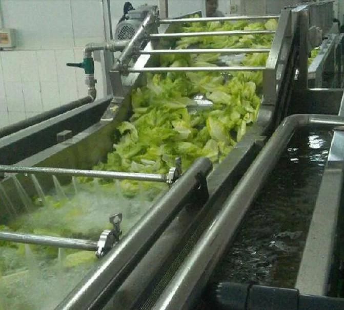 Vegetable Cleaner and Washing by Ozone Leafy Green Washing Machine