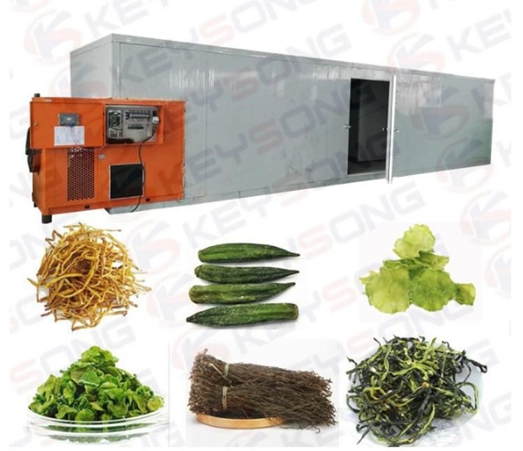 Food Grade Vegetable Cutting Washing Dehydrating Packing Line Fresh Salad Machine Fruit&Vegetable Production