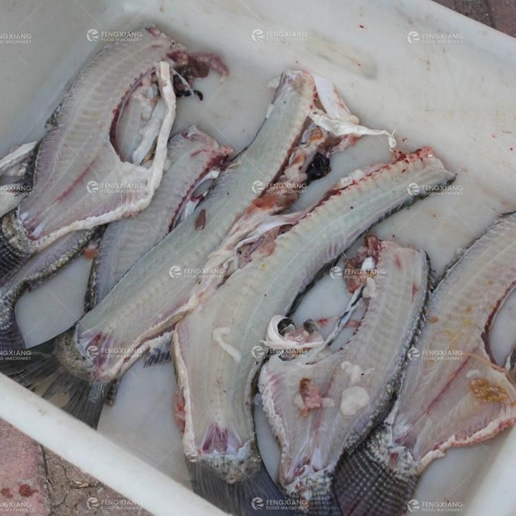 Fish Cutting Machine, Fish Fillet Machine, Fish Filleting