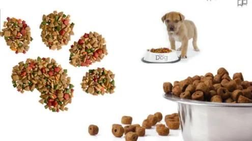 Dry Wet Fish Dog Pet Food Extrusion Machine