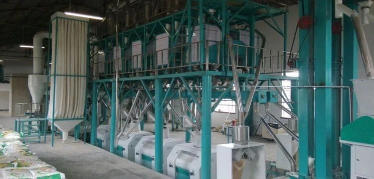 50tons Wheat Flour Mill Machine in Zimbabwe