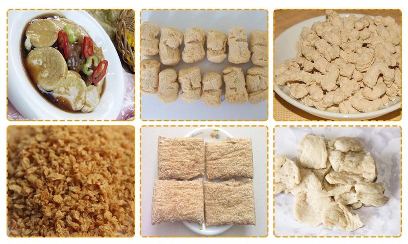 Protein Vegetarian Meat Process Machine Soya Protein Making Machine