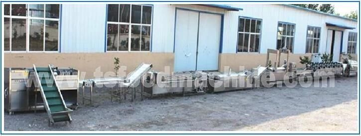 Automatic Gas Continuous Conveyor Fried Food Frying Equipment