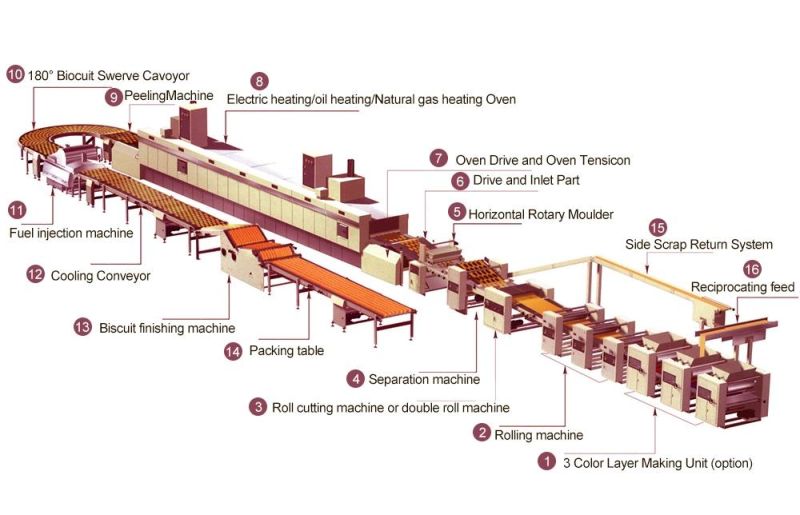 Automatic Bear Biscuit Production Line Chocolate Sandwiching Hard Biscuit Machine Best Price High Quality