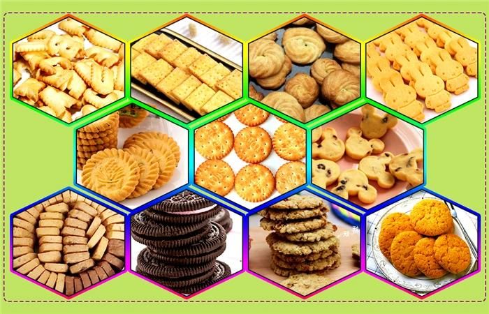 Easy-Operation and Stainless Steel Full-Automatic Biscuit Production Line for Small Business with Ce
