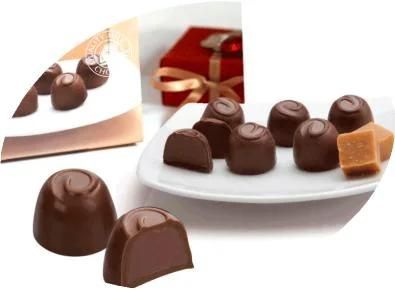 CD200 Automatic Chocolate Despositor Moulding Line