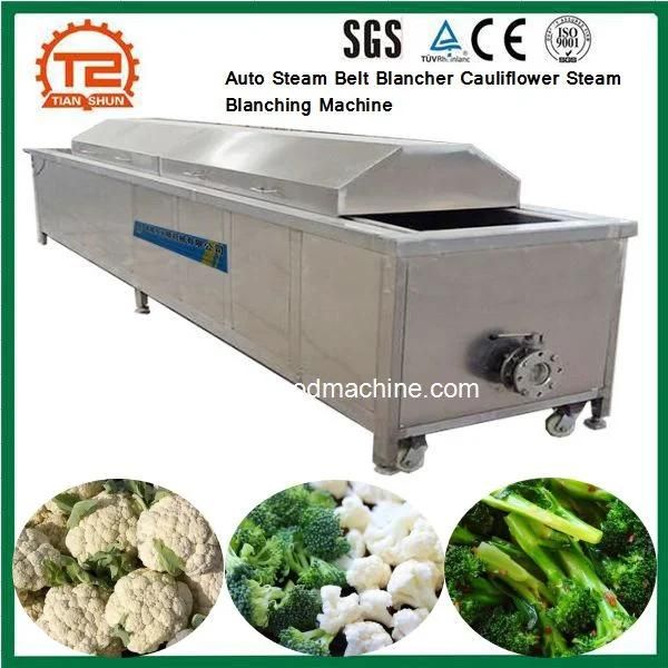 Vegetable Processing Equipment Auto Steam Belt Blancher Cauliflower Steam Blanching Machine