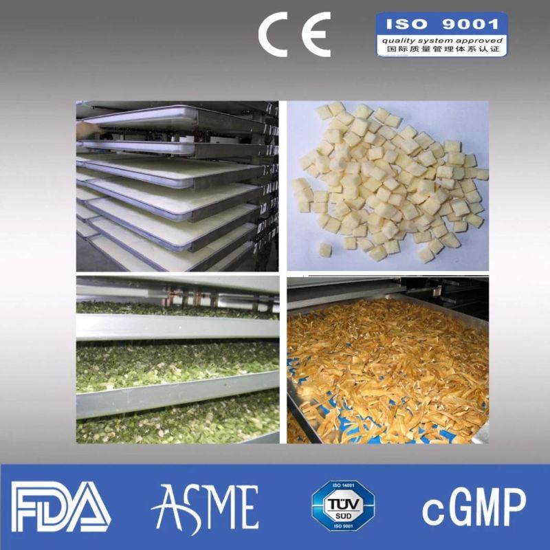 Vacuum Freeze Dryer Pilot Lyophilizeracuum Freeze Dryer Pilot Lyophilizer