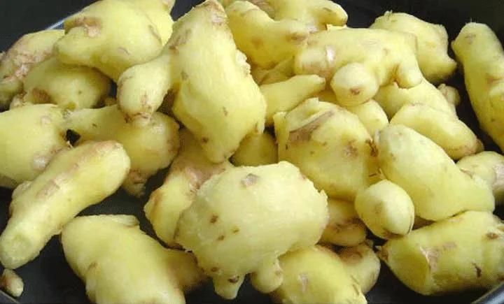 Automatic Brush Wash Machinery Commercial Ginger Peeling Machine