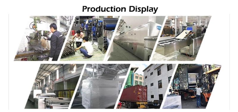 Skywin High Output 1000-1500kg/H Biscuit Cracker Machine/Cookie Production Line