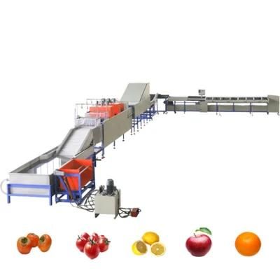 Factory Price Fruit and Vegetable Sorting Grading Machine