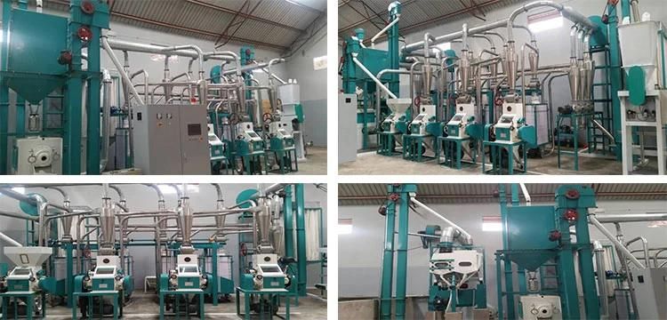 Maize Corn Flour Mill Machine with Installation Running in Africa