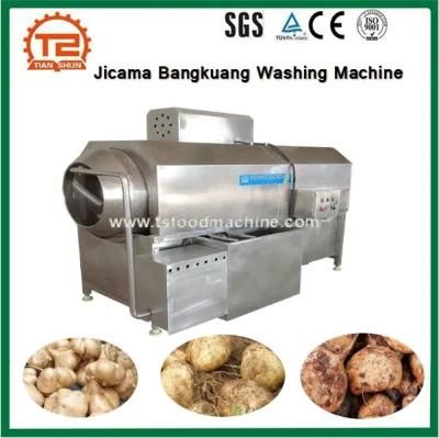 Jicama /Bangkuang Washing Machine and Peeling Machine