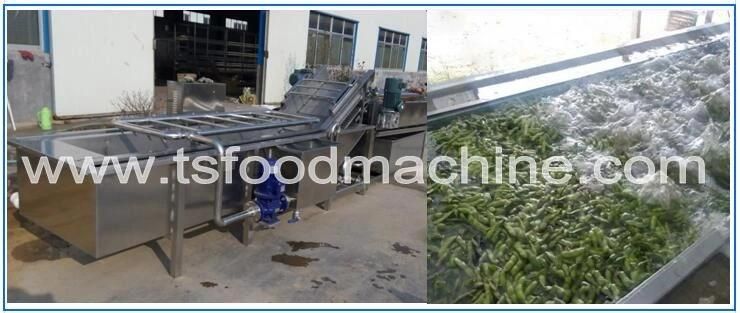 Automatic Vegetables Lettuce Bubble Washing Machine