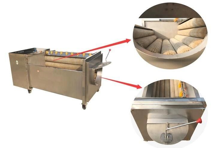 Brush Roller Washing Machine Scallop Washing and Cleaning Machine
