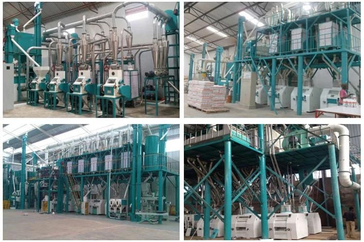 Wheat Flour Machine for Bangladesh