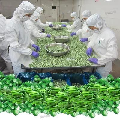 Okra Sauce Processing Line/Okra Sauce Production Line/Okra Sauce Processing Machines