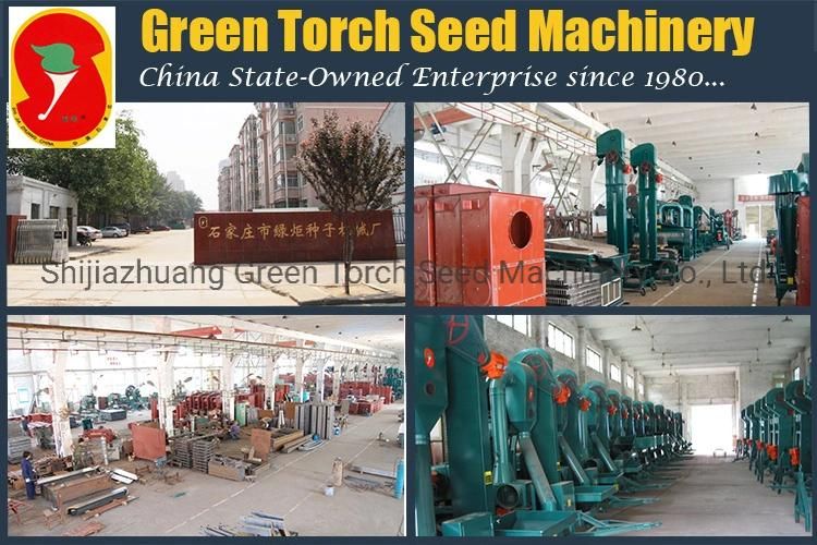 Complete Processing Line Grain Seed Cleaning Plant on Sale