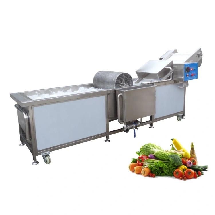 New Type Industrial Fresh Fruit Vegetable Air Bubble Washing Machine