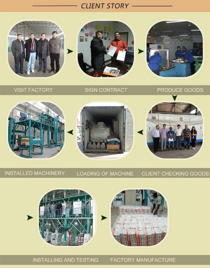 European Standard 100t/24h Maize Milling Equipment