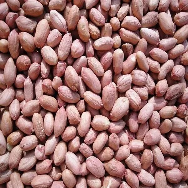 Hot Water Blancher Groundnut Blanching Machine