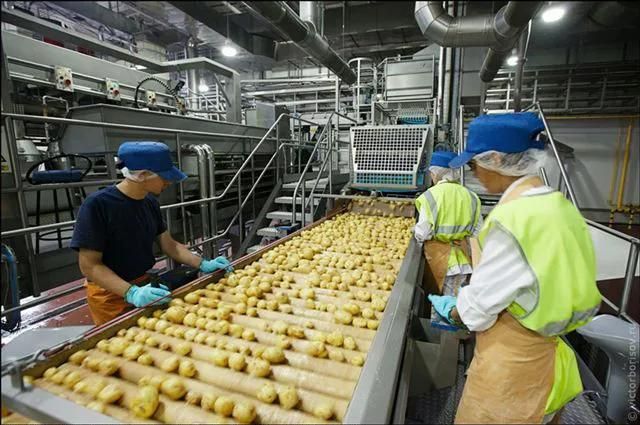 Complete Potato Chips Production Machines