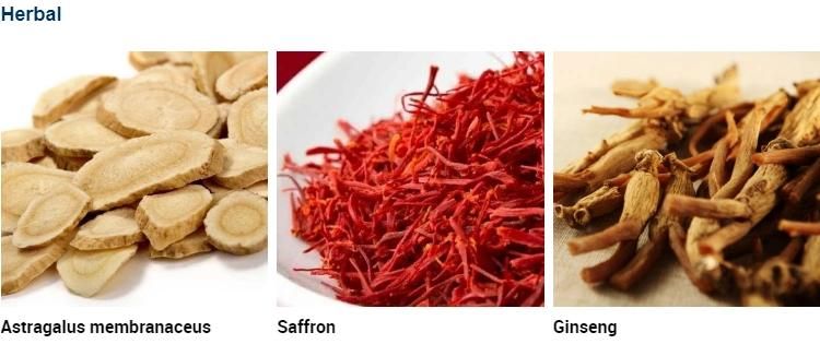 Mango Dehydrator Dryer Machine