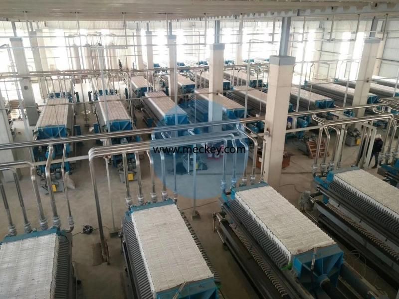 Automatic Corn Citric Acid Processing Plant with ISO Approval